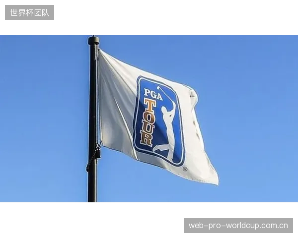 PGA巡回赛数据显示：超过60%的职业球员，曾因担忧高速挥杆下的剥离风险而更换过特定型号的一号木